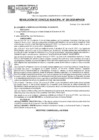 Vista preliminar de documento RCM25N203