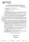 Vista preliminar de documento RCM25N206