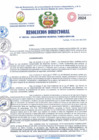 Vista preliminar de documento RES. DIREC Nº 00536-2024 PLAN DE TRABAJO FORTALECIMIENTO DE CAPACIDAD