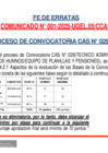 Vista preliminar de documento Fe de Erratas CAS 029
