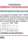 Vista preliminar de documento Fe de Erratas CAS 030