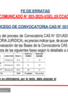 Vista preliminar de documento Fe de Erratas CAS 031