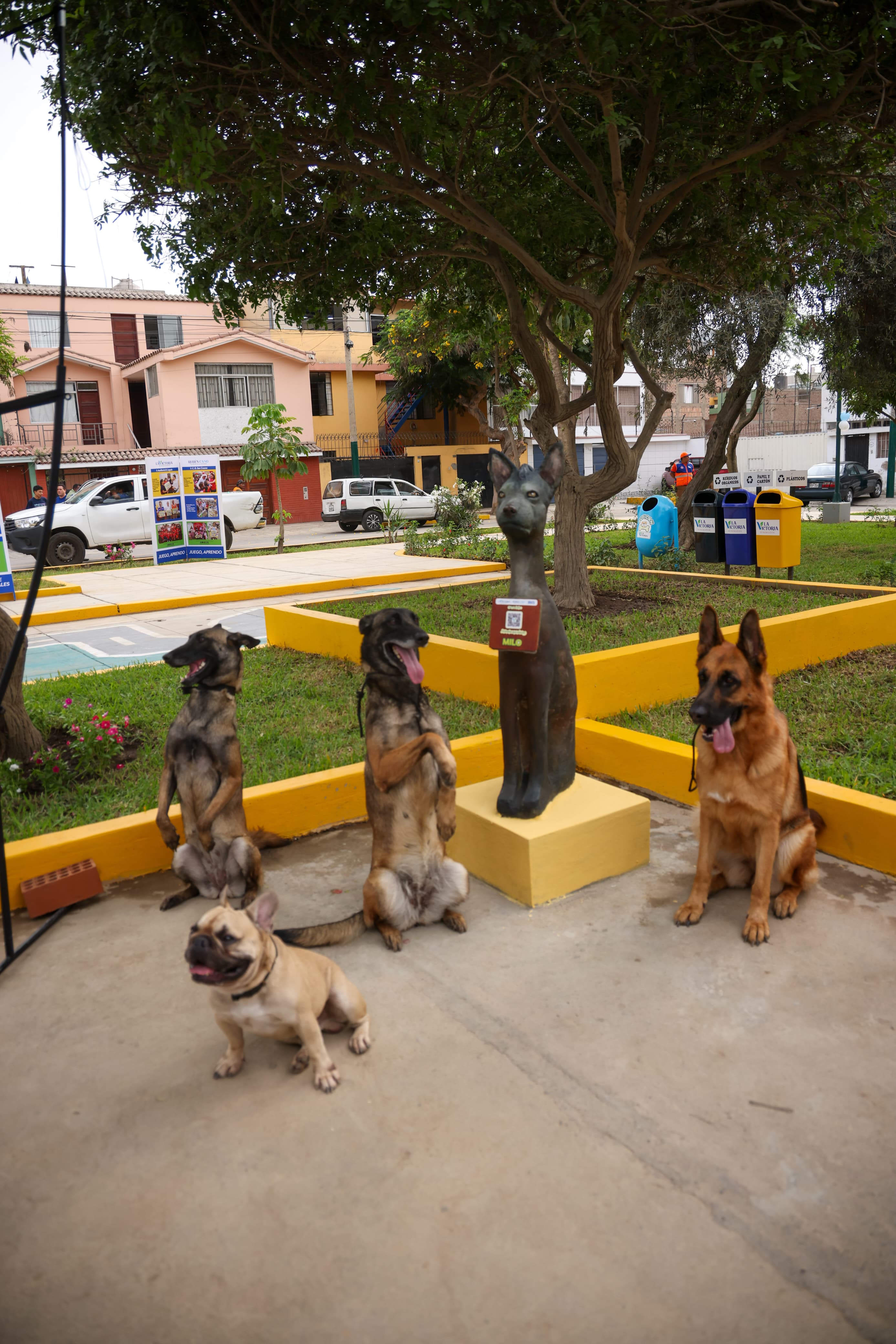 parque animalista