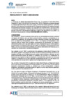 Vista preliminar de documento documentosNormas/20250205141002_11789_R_GM_Nro_0011-2025.pdf