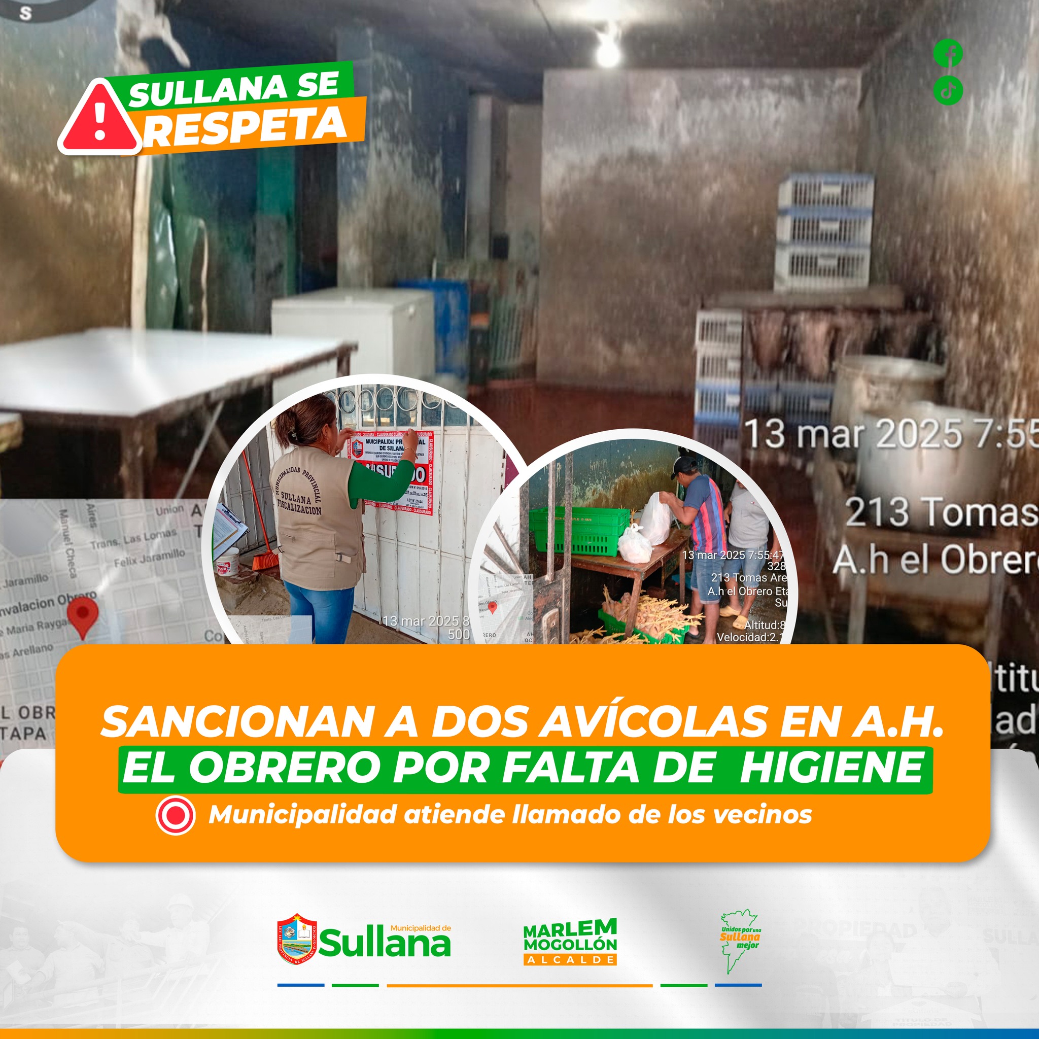 Sancionan a dos avícolas en A.H. El Obrero por falta de higiene