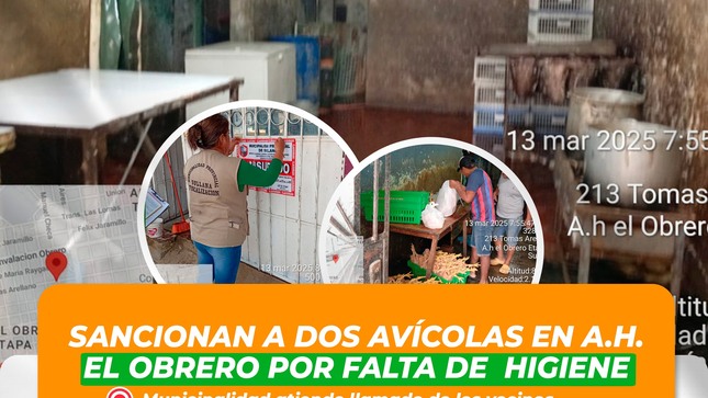 Sancionan a dos avícolas en A.H. El Obrero por falta de higiene