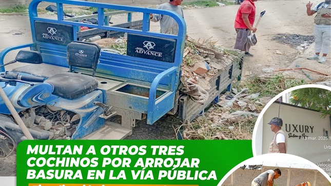 Multan a otros tres cochinos por arrojar basura en la vía pública