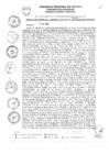 Vista preliminar de documento RGGR0124-2025