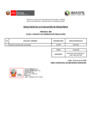 Vista preliminar de documento CAS 005 ANALISTA EN MODELOS DE SIMULACIÓN entrevista[R]