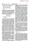 Vista preliminar de documento DS036_2025EF
