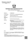Vista preliminar de documento RCONAS-00045-2025-PRODUCE-CONAS-2CT