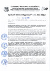 Vista preliminar de documento RD 0466-2025-DREA Ampliacion de Prelación