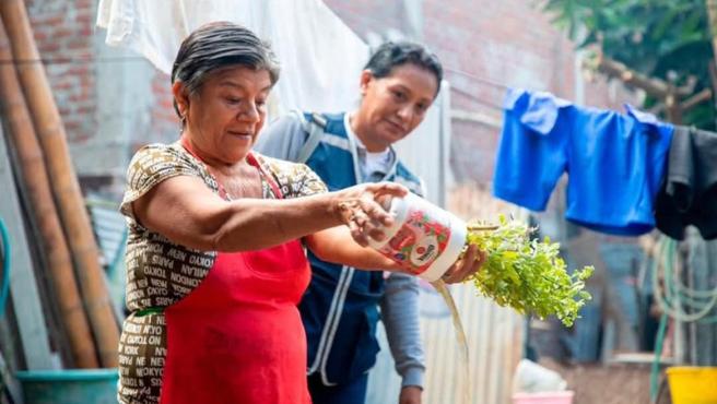 Piura: intervienen 792 000 viviendas para evitar la proliferación del zancudo transmisor del dengue