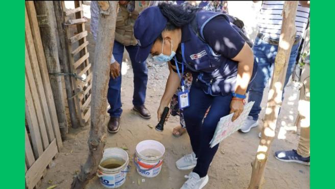 Piura: intervienen 792 000 viviendas para evitar la proliferación del zancudo transmisor del dengue