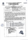 Vista preliminar de documento E/T N° 732