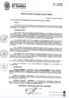 Vista preliminar de documento RA 029-2025