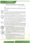 Vista preliminar de documento rgm-053