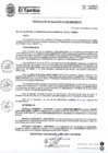 Vista preliminar de documento RA 030-2025