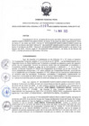Vista preliminar de documento RDR N°203-2025-14-03-2025