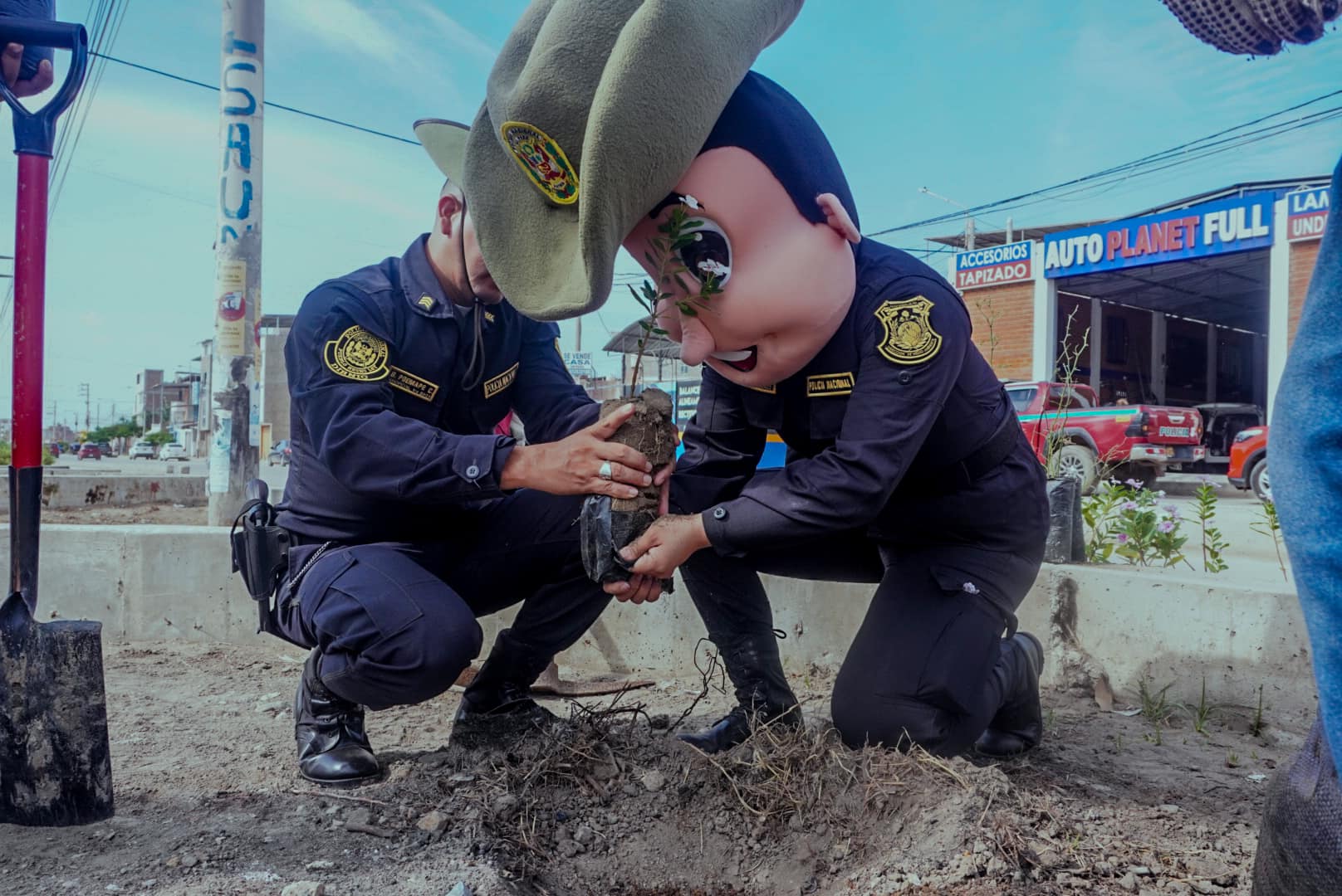 PNP