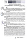 Vista preliminar de documento RGM 041 2025