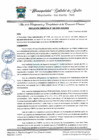 Vista preliminar de documento 008-2025-GDE-MDS