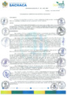 Vista preliminar de documento ORDENANZA MUNICIPAL N°003-2025-MDS
