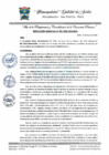 Vista preliminar de documento 007-2025-GDE-MDS
