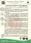 Vista preliminar de documento RESOLUCIÓN DE ALCALDIA N° 036-2025-A-MDI