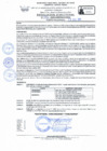 Vista preliminar de documento RD Nº 056 - 2025