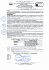 Vista preliminar de documento RD Nº 057 - 2025