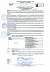 Vista preliminar de documento RD Nº 060 - 2025