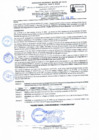 Vista preliminar de documento RD Nº 061 - 2025