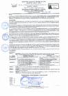 Vista preliminar de documento RD Nº 062 - 2025