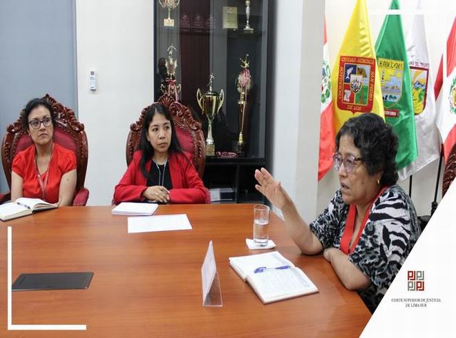 Presidenta de la Corte de Lima Sur lidera reunión clave para optimizar el fortalecimiento del Código Procesal Penal en la jurisdicción