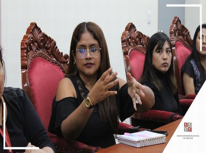 Presidenta de la Corte de Lima Sur lidera reunión clave para optimizar el fortalecimiento del Código Procesal Penal en la jurisdicción