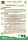Vista preliminar de documento RESOLUCIÓN DE ALCALDIA N° 041-2025-A-MDI