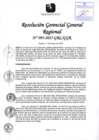 Vista preliminar de documento RGGR 093-2025-GRL-GGR