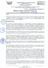 Vista preliminar de documento RA Nº 035-2025