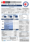 Vista preliminar de documento REPORTE GTGRD 17-03 TURNO DIA