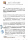 Vista preliminar de documento GDU-41-25