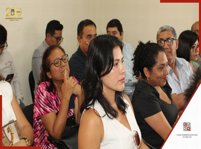 Corte Superior de Lima Sur realiza exitosa Jornada de Inducción Laboral para jueces especializados