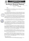 Vista preliminar de documento 100-2025-GRSM-DRTC