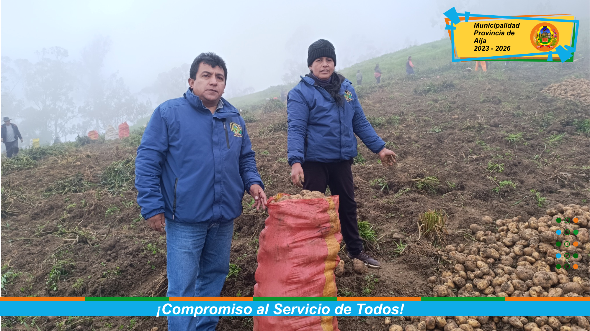 Socios de la Comunidad Campesina Santa Ana de Succha cosechan toneladas de papa de alta calidad de la variedad Yungay