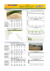 Vista preliminar de documento Boletín de abastecimiento y precio del ARROZ - 17/03/2025