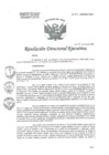 Vista preliminar de documento R.D.E. Nº043-2025-HNAL-OEA