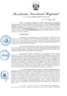 Vista preliminar de documento RDR-133-2025