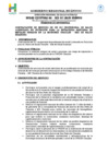 Vista preliminar de documento TDR