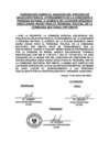 Vista preliminar de documento COMUNICADO DE BUENA PRO