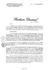 Vista preliminar de documento RD N° 100-2023-DG-DIRIS-LC